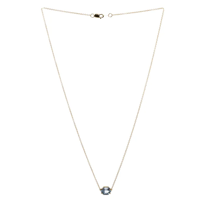 Bell Bird In House Necklaces Bell Bird Hexagon Sapphire Pendant Necklace