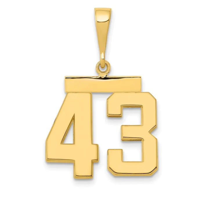 14k Yellow Gold Medium Polished Number 43 Charm Goldia Charm Necklaces