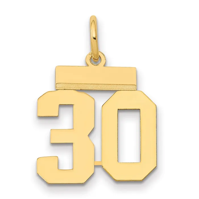 Goldia Charm Necklaces 14k Yellow Gold Small Polished Number 30 Charm